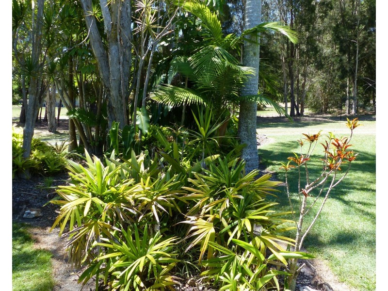 19 Silverwood Drive, Cooroibah QLD 4565