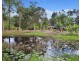 19 Silverwood Drive, Cooroibah QLD 4565