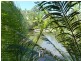 7 Glenridge Drive, Cooroibah QLD 4565