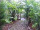 Cooroibah QLD 4565
