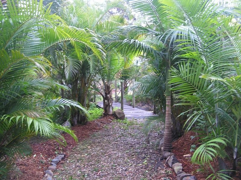 Cooroibah QLD 4565
