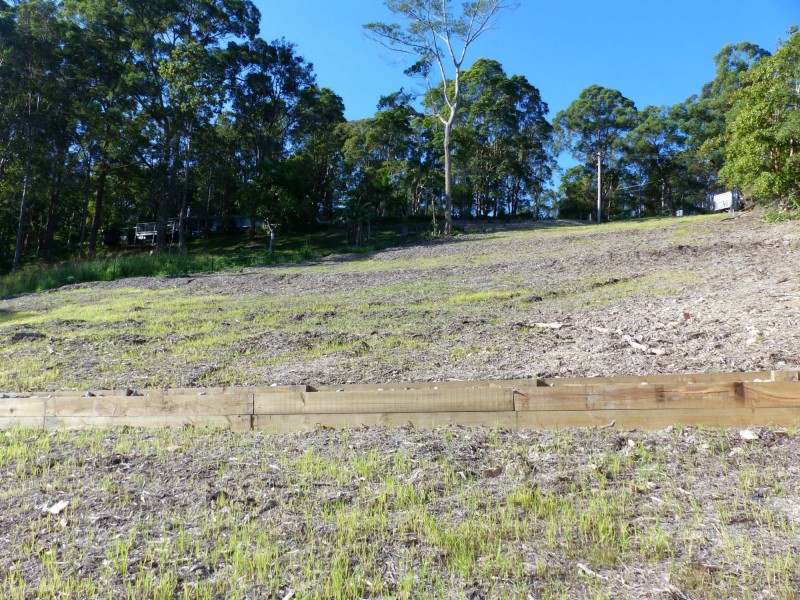 Eumundi QLD 4562