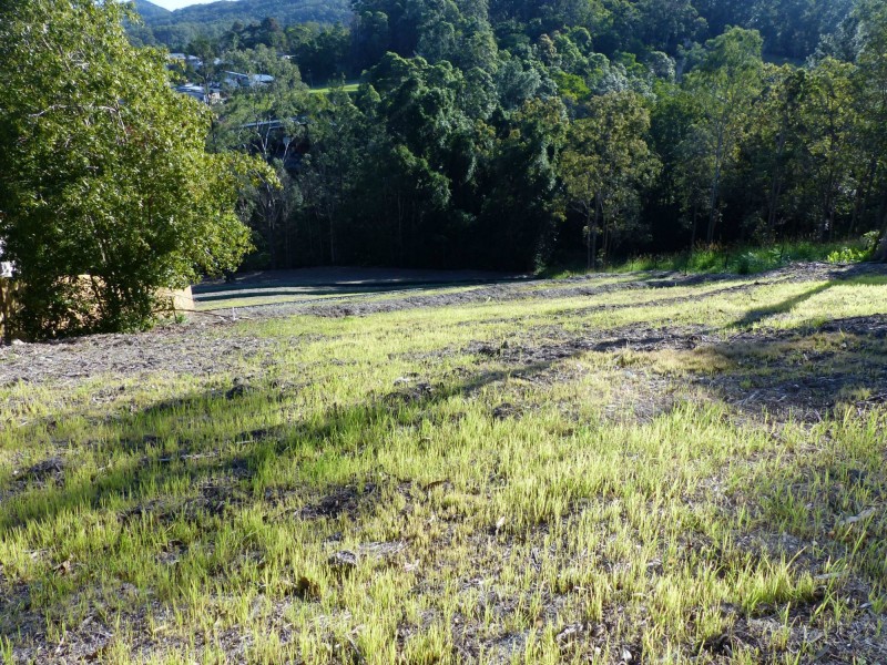 Eumundi QLD 4562