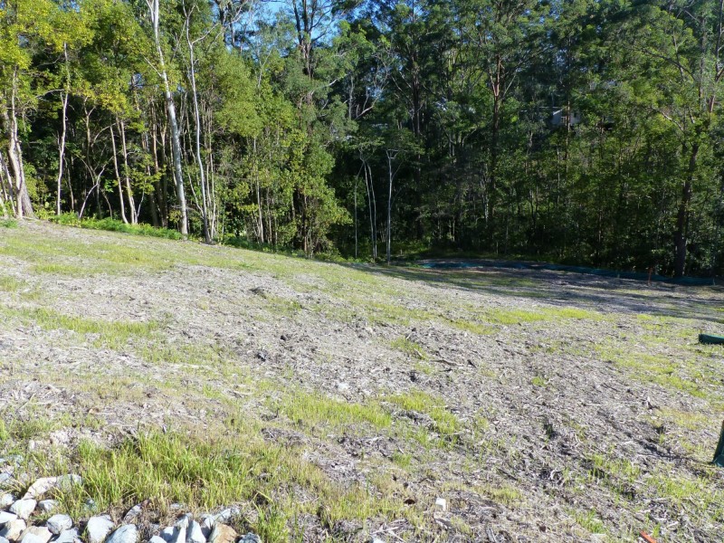 Eumundi QLD 4562