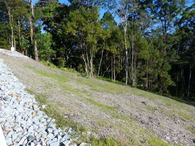 Eumundi QLD 4562