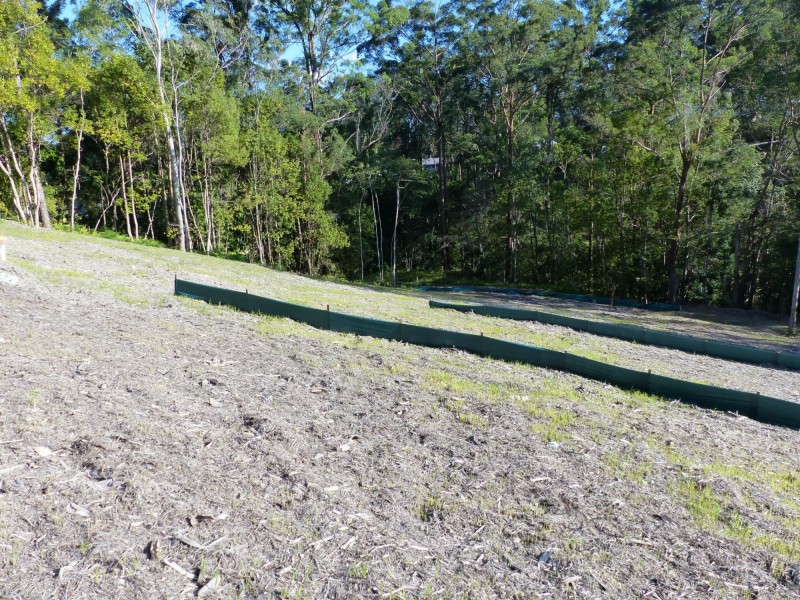 Eumundi QLD 4562