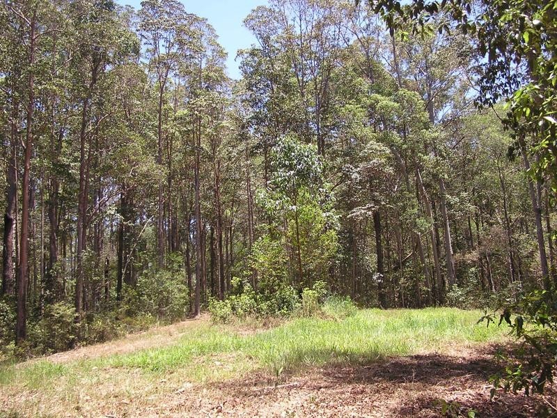 Lake Macdonald QLD 4563