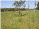 Lot 7 McKinnon Drive, Cooroibah QLD 4565