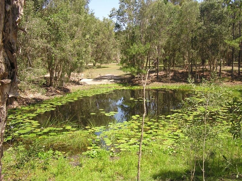 380 McKinnon Drive, Cooroibah QLD 4565