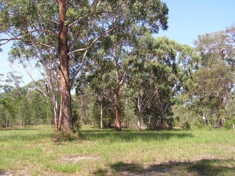 12 Devonstone Drive, Cooroibah Park, Cooroibah QLD 4565