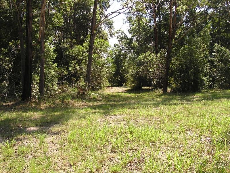 12 Devonstone Drive, Cooroibah Park, Cooroibah QLD 4565