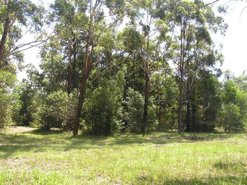 12 Devonstone Drive, Cooroibah Park, Cooroibah QLD 4565