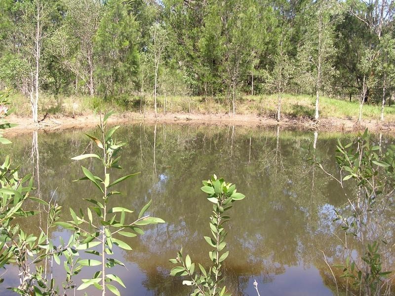 12 Devonstone Drive, Cooroibah Park, Cooroibah QLD 4565