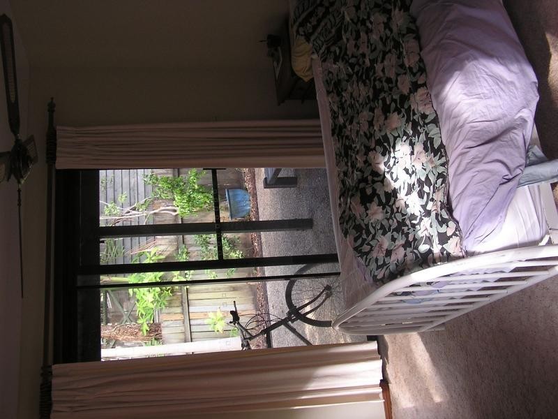 37 Pines Avenue, Cooroibah QLD 4565