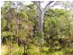 Lot 19 Morning Dew Close, Noosa Country, Cooroibah QLD 4565