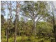 Lot 19 Morning Dew Close, Noosa Country, Cooroibah QLD 4565