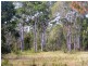 Lot 19 Morning Dew Close, Noosa Country, Cooroibah QLD 4565