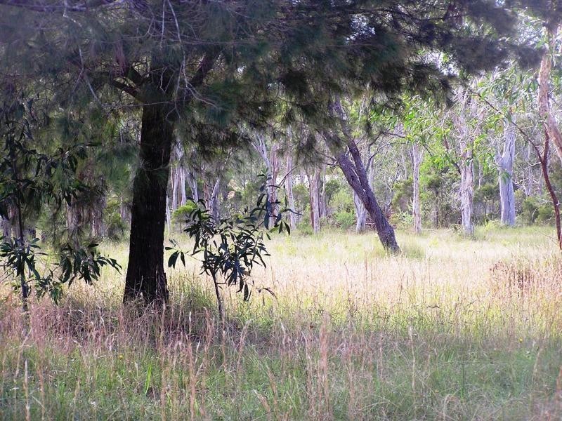 Lot 19 Morning Dew Close, Noosa Country, Cooroibah QLD 4565