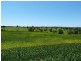 Lot 62 Overlander Avenue, Chatsworth, Chatsworth QLD 4570