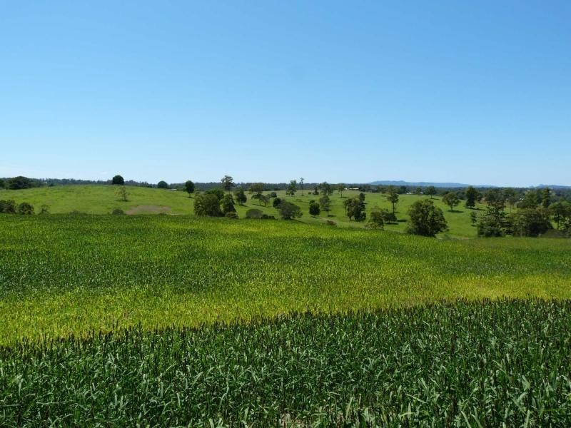 Lot 62 Overlander Avenue, Chatsworth, Chatsworth QLD 4570