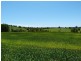 Lot 62 Overlander Avenue, Chatsworth, Chatsworth QLD 4570