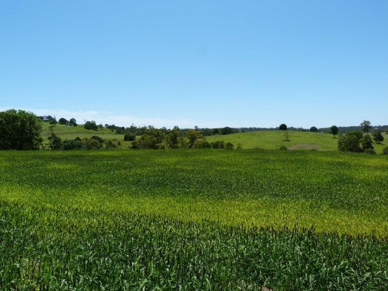 Lot 62 Overlander Avenue, Chatsworth, Chatsworth QLD 4570