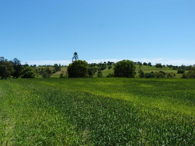 Lot 62 Overlander Avenue, Chatsworth, Chatsworth QLD 4570