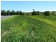 Lot 62 Overlander Avenue, Chatsworth, Chatsworth QLD 4570