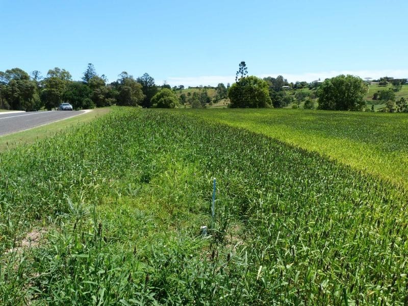 Lot 62 Overlander Avenue, Chatsworth, Chatsworth QLD 4570