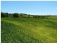 Lot 62 Overlander Avenue, Chatsworth, Chatsworth QLD 4570