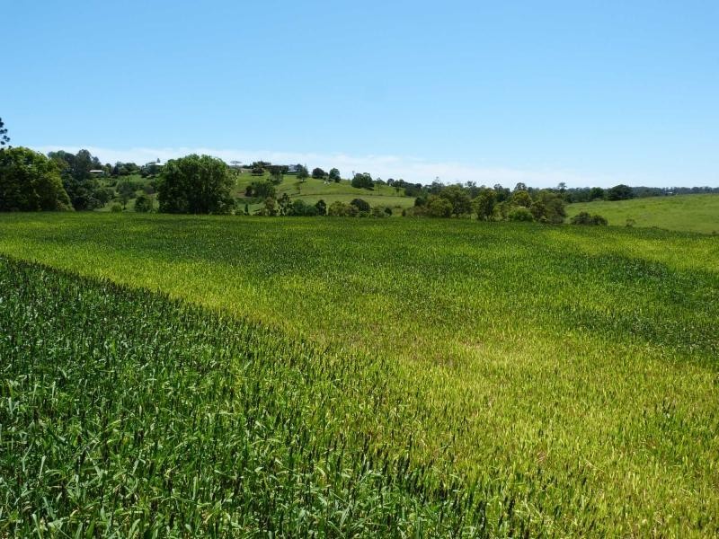 Lot 62 Overlander Avenue, Chatsworth, Chatsworth QLD 4570