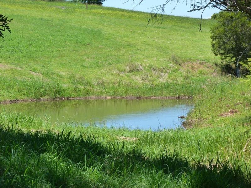 Lot 5 Billman Court, Chatsworth, Chatsworth QLD 4570