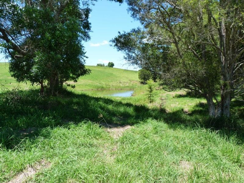 Lot 5 Billman Court, Chatsworth, Chatsworth QLD 4570
