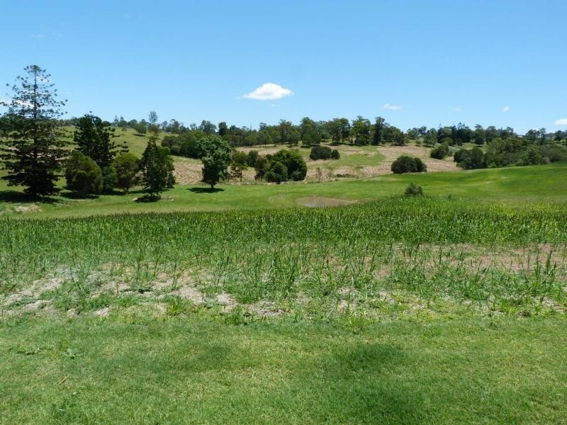 Lot 5 Billman Court, Chatsworth, Chatsworth QLD 4570
