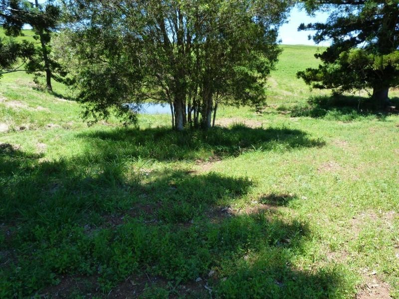 Lot 6 Billman Court, Chatsworth, Chatsworth QLD 4570