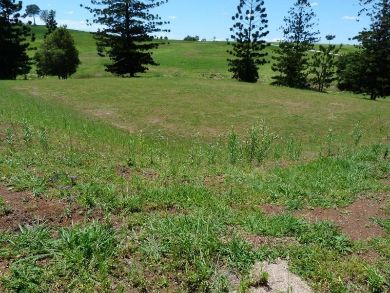 Lot 6 Billman Court, Chatsworth, Chatsworth QLD 4570