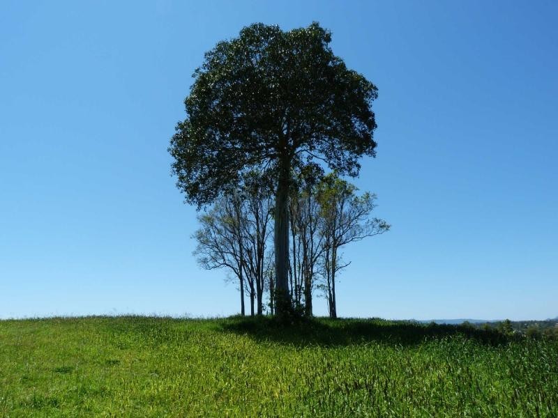 Lot 1 Overlander Avenue, Chatsworth Premier Estate, Chatsworth QLD 4570