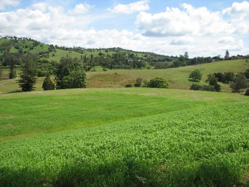 Lot 1 Overlander Avenue, Chatsworth Premier Estate, Chatsworth QLD 4570