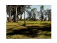 Lot 55 Devonstone Drive, Cooroibah Park, Cooroibah QLD 4565