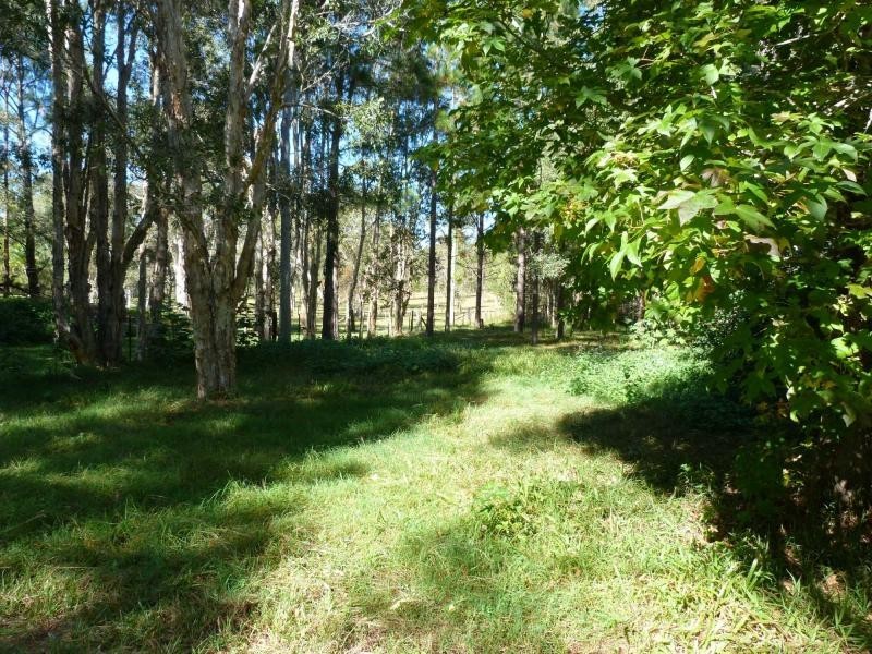 1224 McKinnon Drive, Ringtail Creek QLD 4565