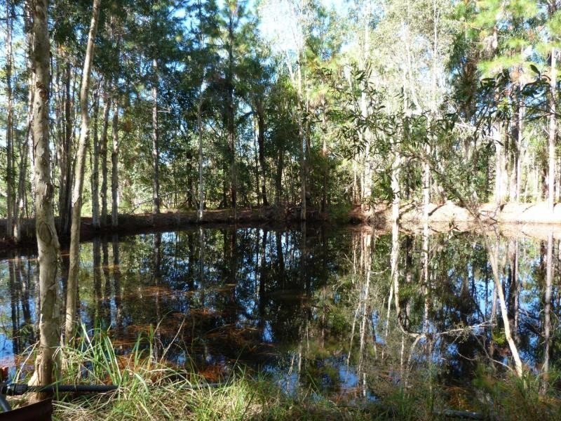 1224 McKinnon Drive, Ringtail Creek QLD 4565