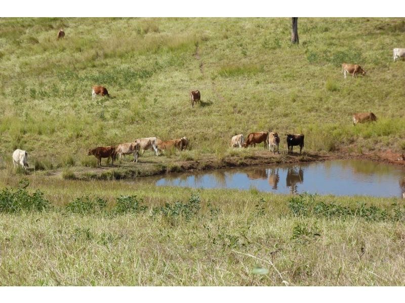 Bells Bridge QLD 4570