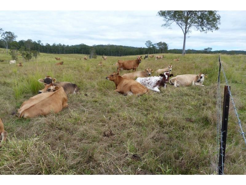 Bells Bridge QLD 4570