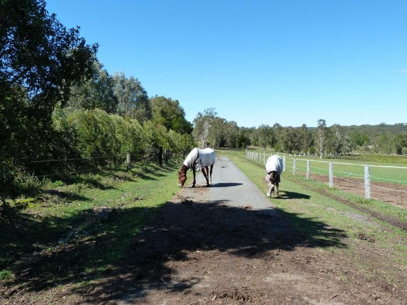 3 Yatama Crescent, Cooroibah QLD 4565