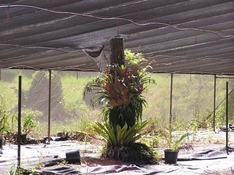 Lot 2 Happy Jack Road, Forest Acre, Lake Macdonald QLD 4563