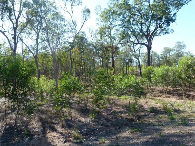 South Kolan QLD 4670