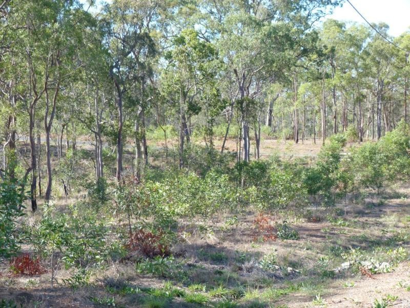 South Kolan QLD 4670