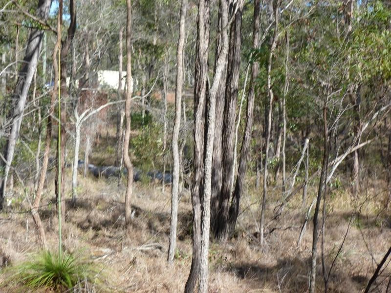 South Kolan QLD 4670