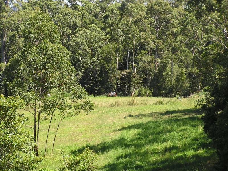 Lot 3 Forest Acre Drive, Forest Acre, Lake Macdonald QLD 4563