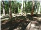 26 Little Springs Lane, Lake Macdonald QLD 4563